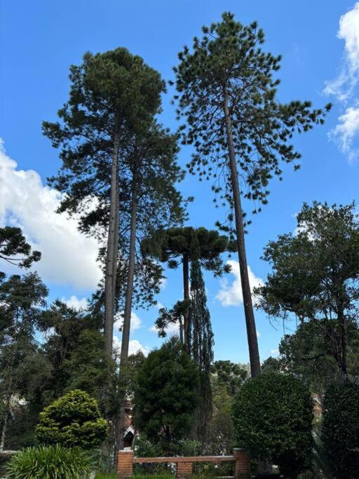 Charme E Conforto Na Montanha - Campos Do Jordao Proximo Ao Centro Eksteriør bilde